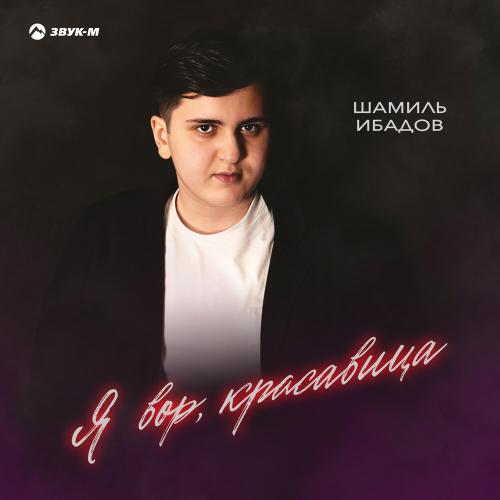Шамиль Ибадов - Я вор, красавица