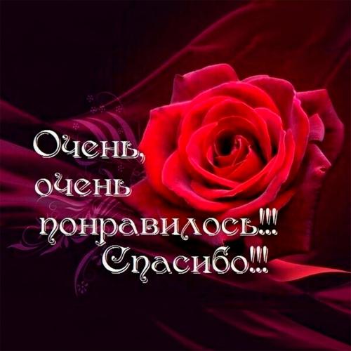 Скриптонит, w140, кухня - чтобы тронуло