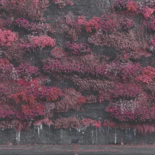 Sleep Token - Even In Arcadia