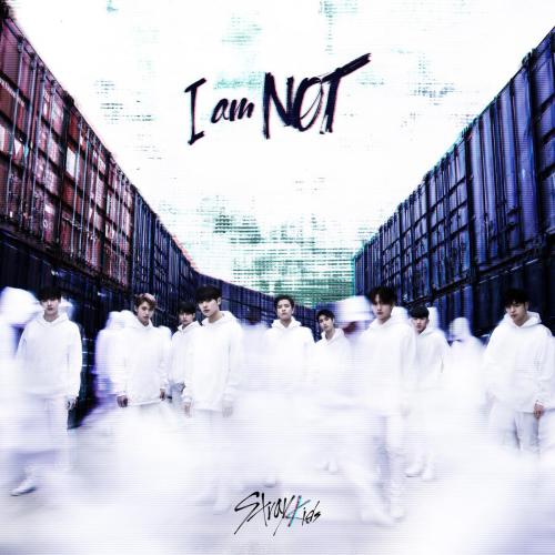 Stray Kids - NOT!