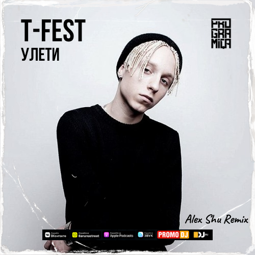 T-Fest - Улети (Alex Shu Remix)