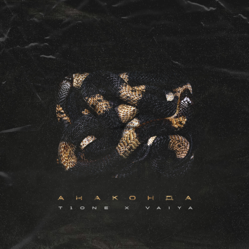 T1ONE & Vaiya - Анаконда