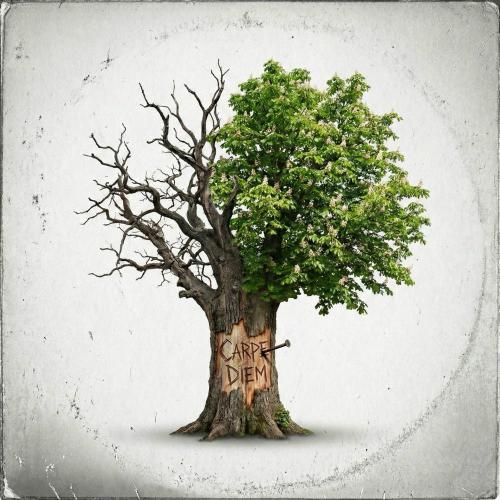 Taladro - Carpe Diem