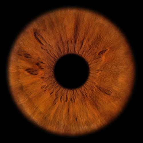 TERRY - Демон (Bonus Track)