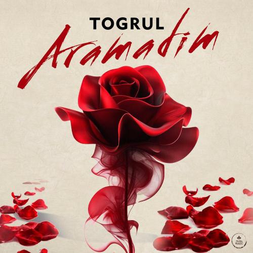 Togrul - Aramadim