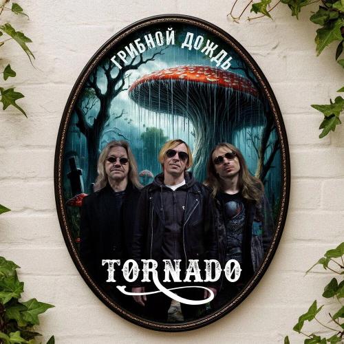 Торнадо - Овальное зеркало Сведенборга