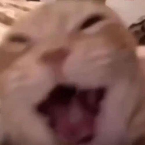 Velano - Suzanne (sped up)