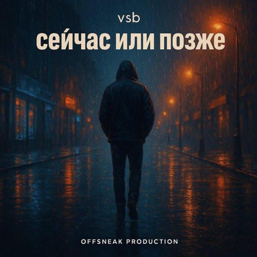 VSB - СЕЙЧАС ИЛИ ПОЗЖЕ