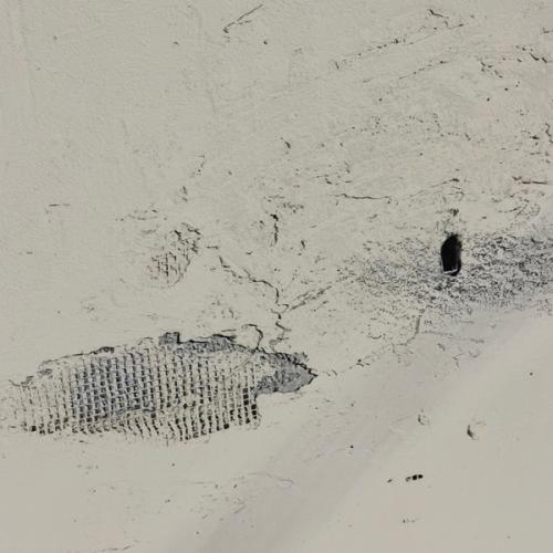 WARYKID & dekma - песнь погребённого