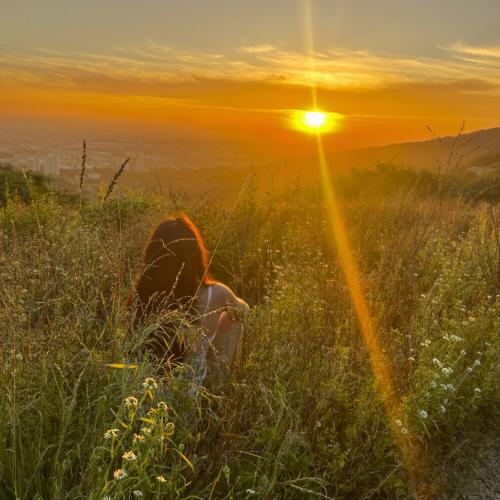 wavdealer - Жарко