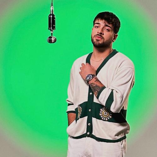 Zedi - Garip Hallerim