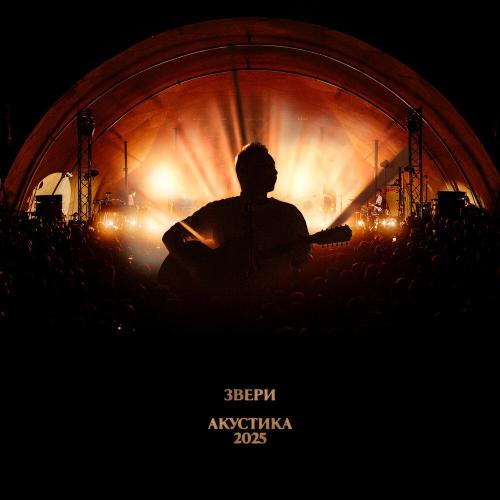 Звери - Брюнетки и блондинки (Акустика 2025, Live)