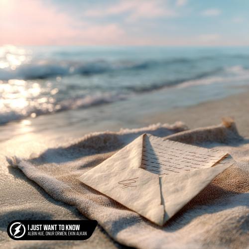Albin Hue, Onur Ormen, Ekin Alkan - I Just Want To Know