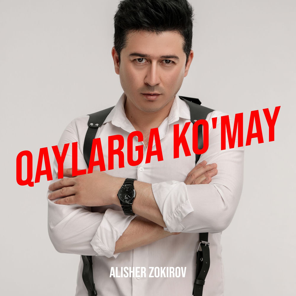 Alisher Zokirov - Qaylarga Ko'may