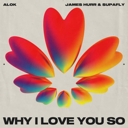 Alok feat. James Hurr & Supafly - Why I Love You So