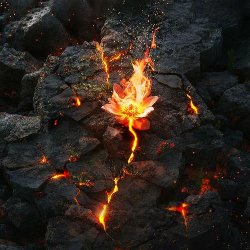 Andromedik, Sarah de Warren - Stone