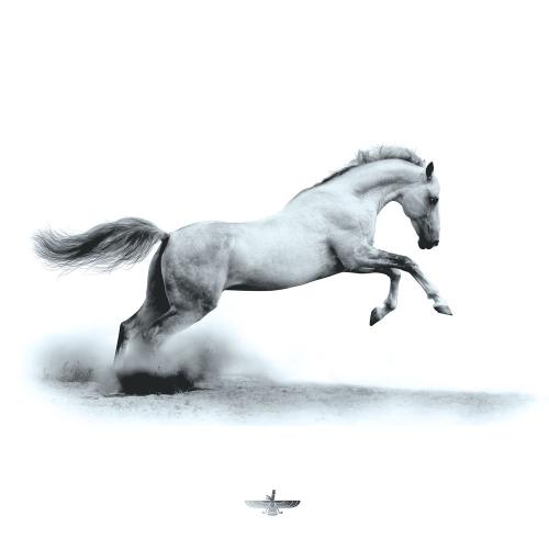 Asadi - Caspian