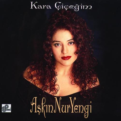 Aşkın Nur Yengi - Ay İnanmıyorum