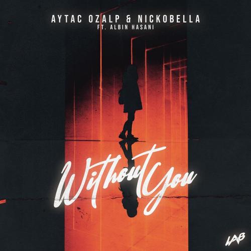 Aytac Ozalp x Nickobella feat. Albin Hasani - Without You