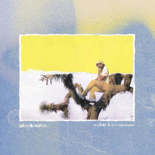blackwave. & Abhi The Nomad - a-okay