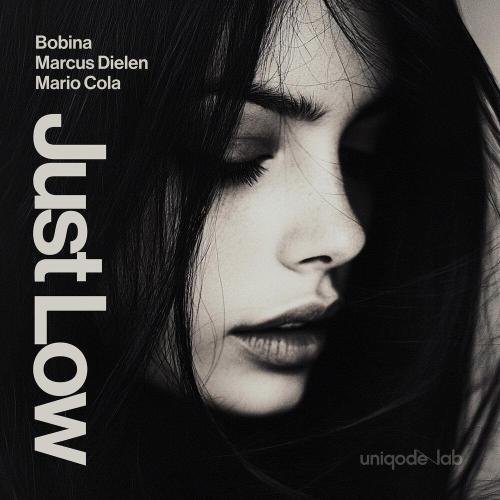 Bobina - Just Low
