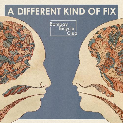 Bombay Bicycle Club - How Can You Swallow So Much Sleep