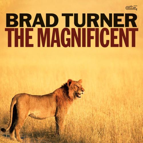 Brad Turner Trio - Barney's Castle