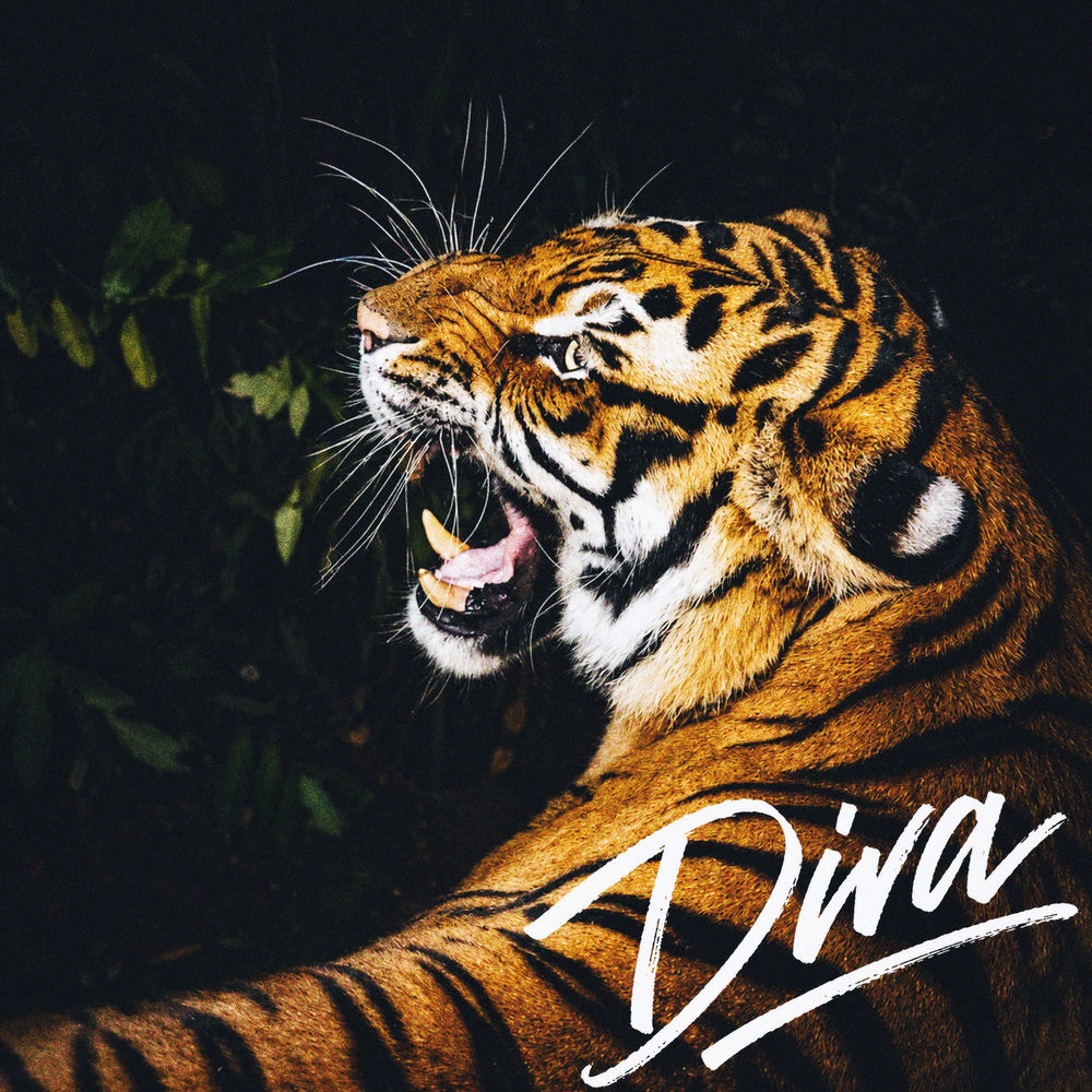 Burak Bulut - Diva