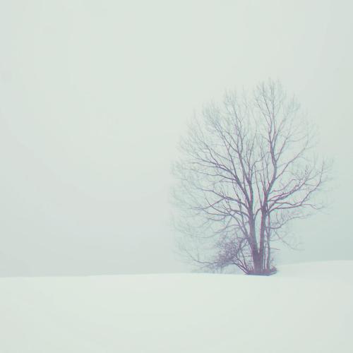 calmspirit - White Plains