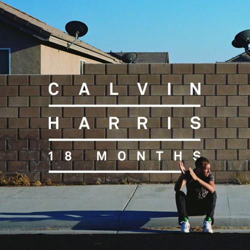 Calvin Harris - I Need Your Love (feat. Ellie Goulding)