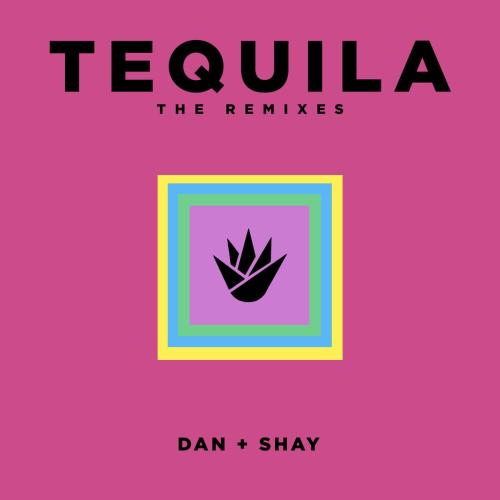 Dan + Shay - Tequila (R3HAB Remix)