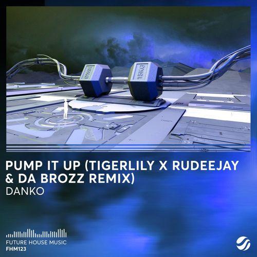 Danko - Pump It Up (Tigerlily x Rudeejay & Da Brozz Remix)