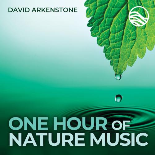 David Arkenstone - Ocean Dreams