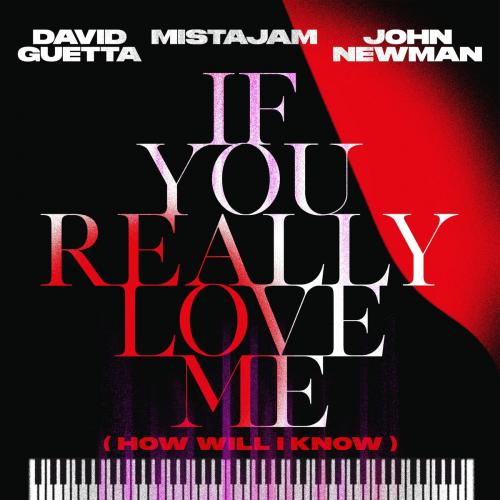 David Guetta & MistaJam feat. John Newman - If You Really Love Me (How Will I Know)