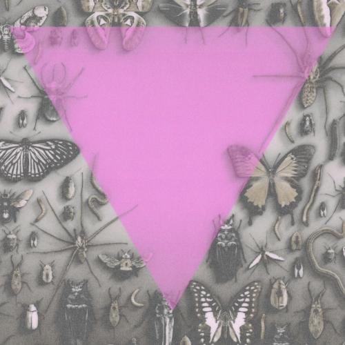 Death Goals & The Hirs Collective - Tchotchke