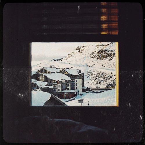Deli & landlooper - Snowflakes