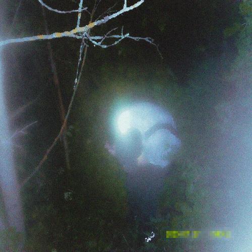 destroy sally - Меня не услышат
