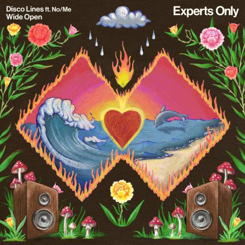 Disco Lines & NoMe - Wide Open