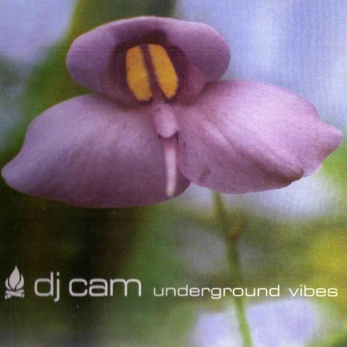 DJ Cam - Mad Blunted Jazz