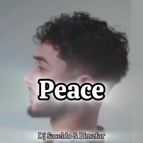 Dj Saceldo, Hmzfar - Peace