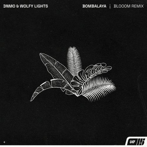 DNMO, Wolfy Lights, Blooom - Bombalaya (Blooom Remix)