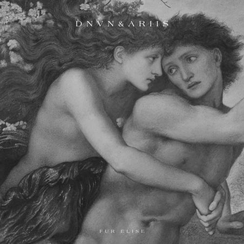 dnvn & Ariis - Fur Elise