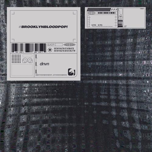 dnvn - #BrooklynBloodPop