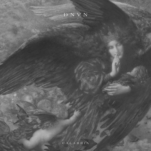 dnvn - Calabria