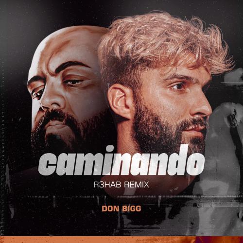 Don Bigg & R3HAB - Caminando (R3HAB Remix)