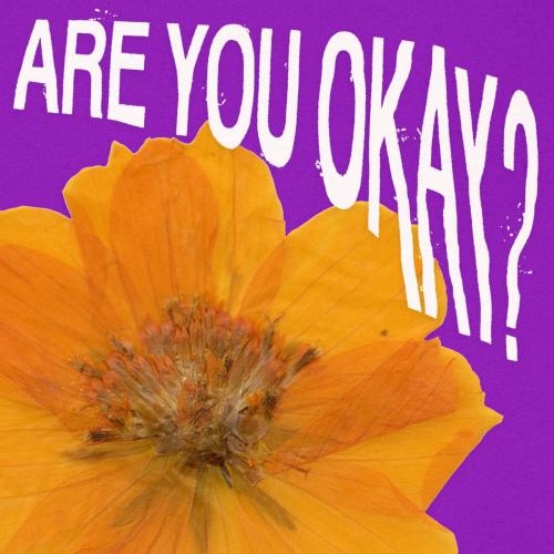 DOUBLECAMP - Are You Okay