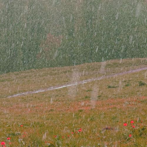 Dream Cassettes - LA Rain Ambient i