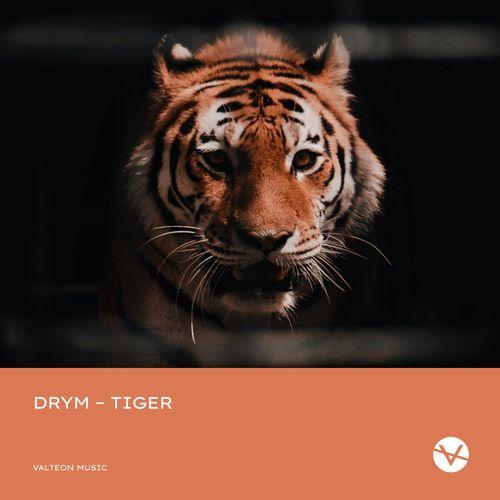 DRYM - Tiger (Extended Mix)