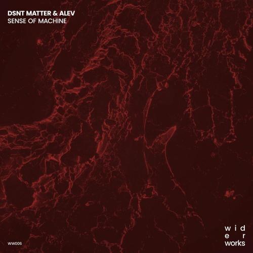 Dsnt Matter & Alev - Sense of Machine