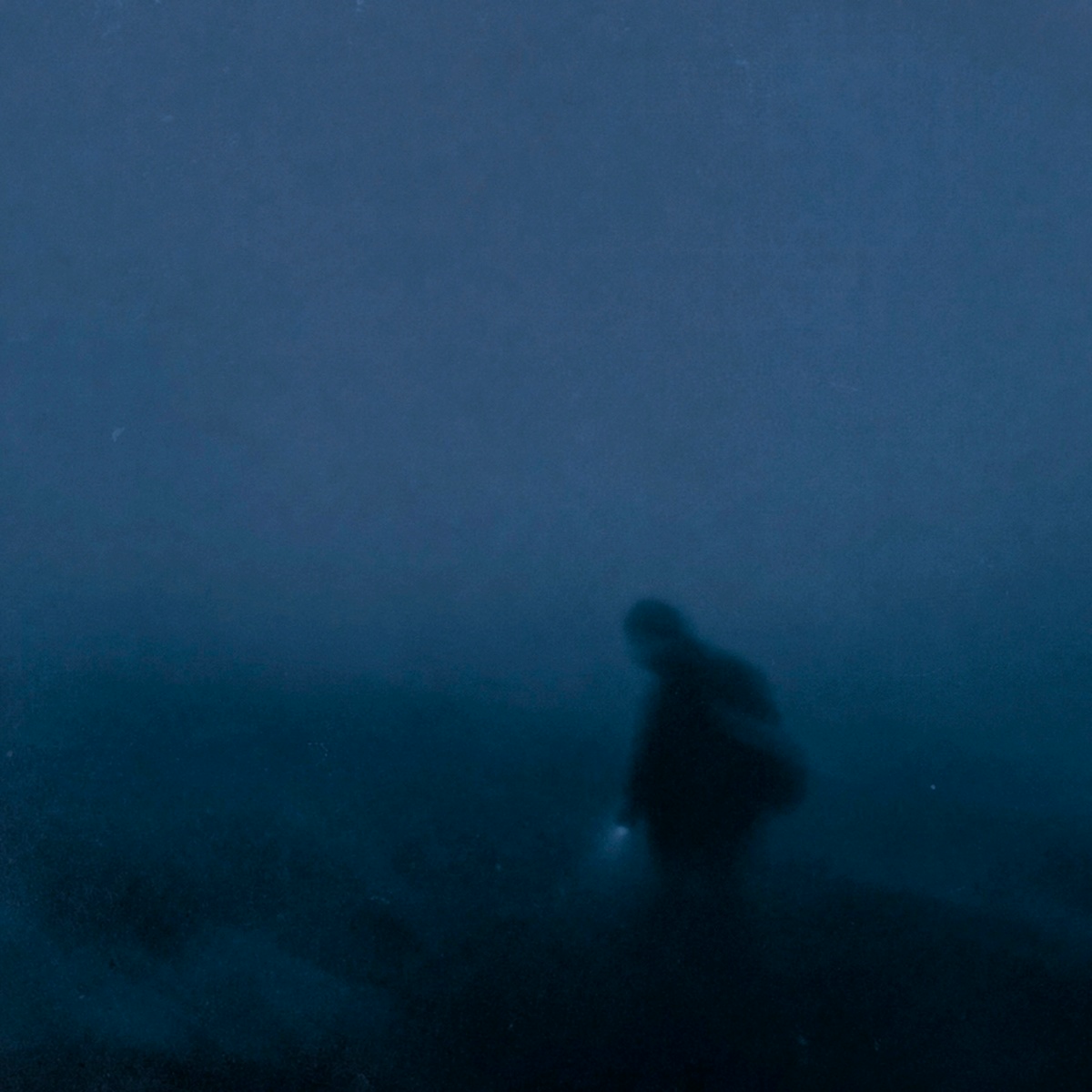 ereysem - maybe i won't come back